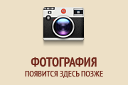 Первоапрельская подборка корректорских ляпов от газеты «Ведомости»