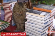 Кот-библиотекарь работает в книгохранилище Хмельницкой области